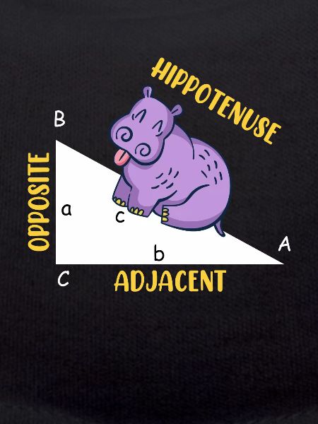 Hippotenuse Math