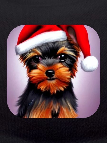 Yorkshire Terrier Welpe