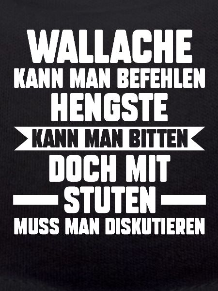Reiten Reiter Pferd Pferde