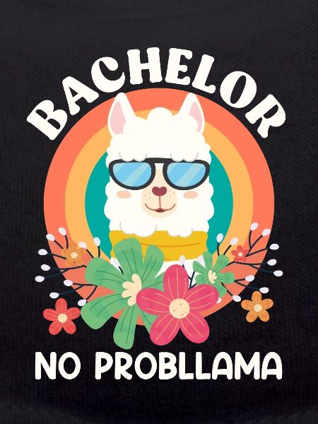 Licence NO Probllama