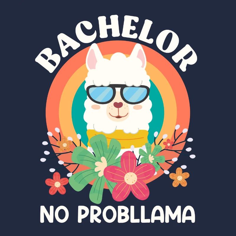 Bachelor Abschluss NO Probllama