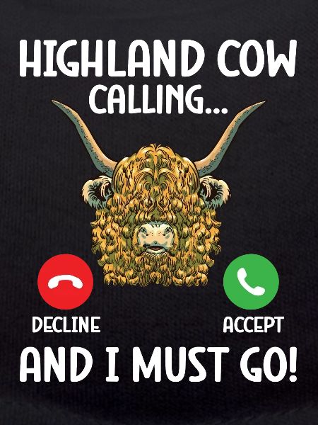 Highland cow
