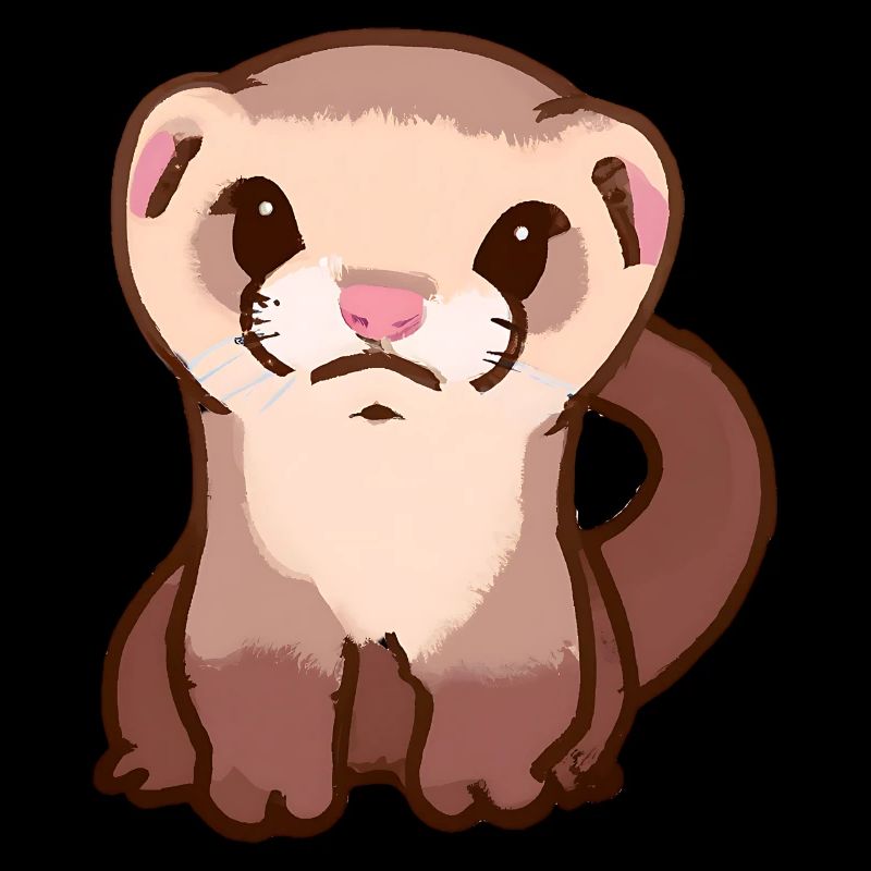 Ferret