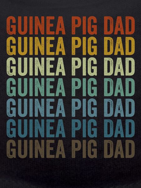Papa cochon d’Inde