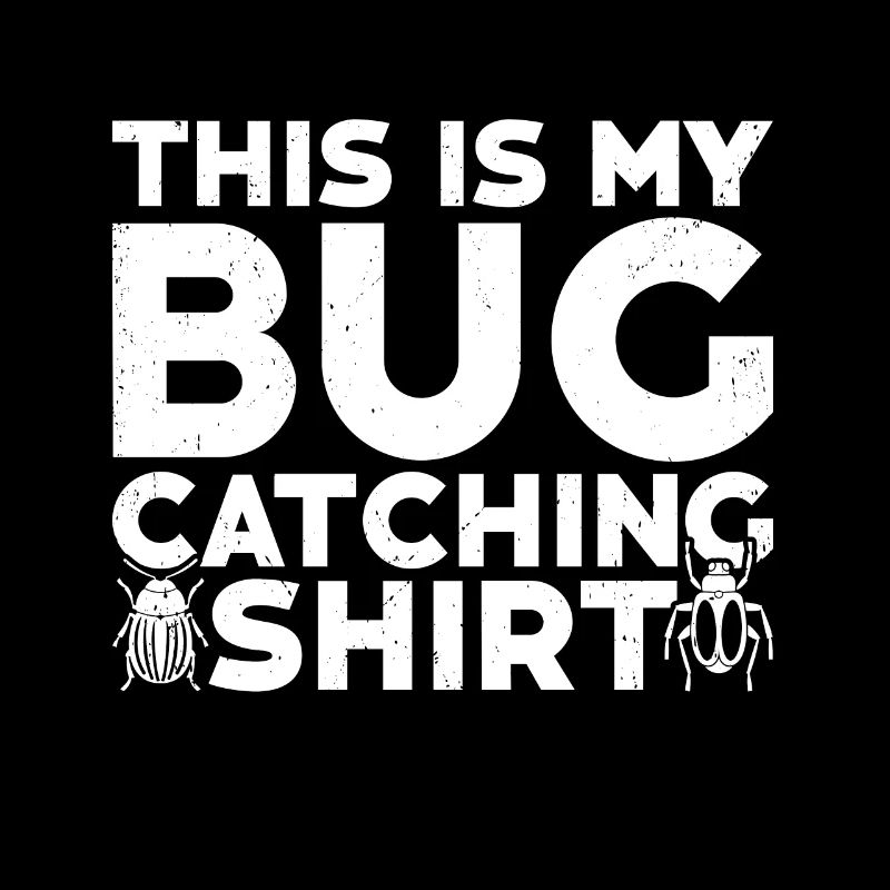 Insecte