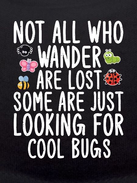 Insecte