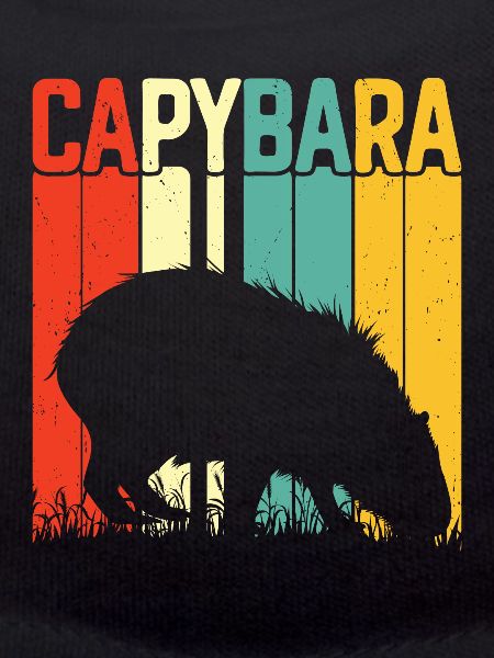 Capybara Animal Rodent Capibara