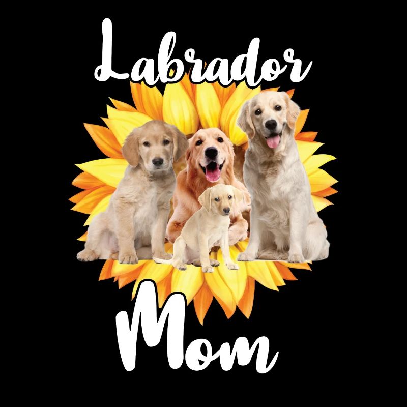 Mutter Sunflower Labrador Retriever Hund