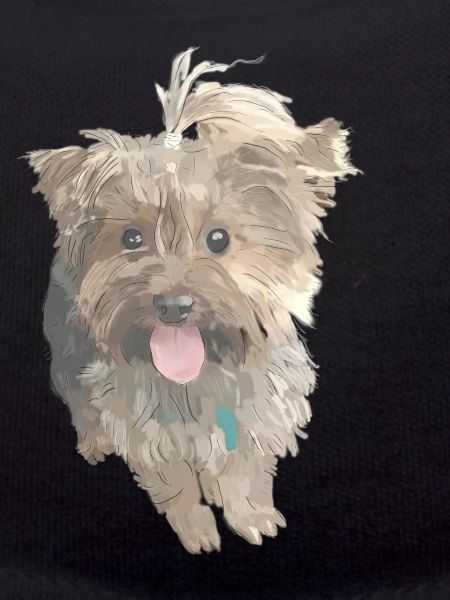 York Dog