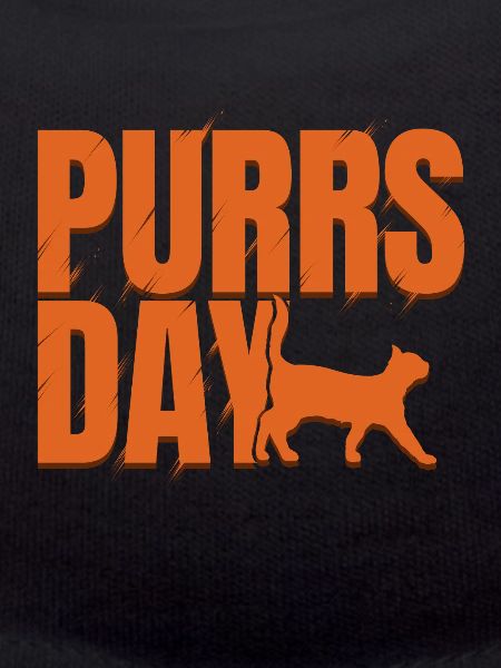 Orange Lettering On Purrsday