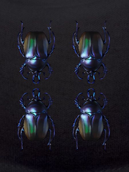 Dung beetle