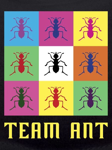 Team Ant