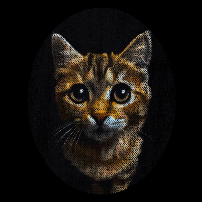 cat kitten cute cute