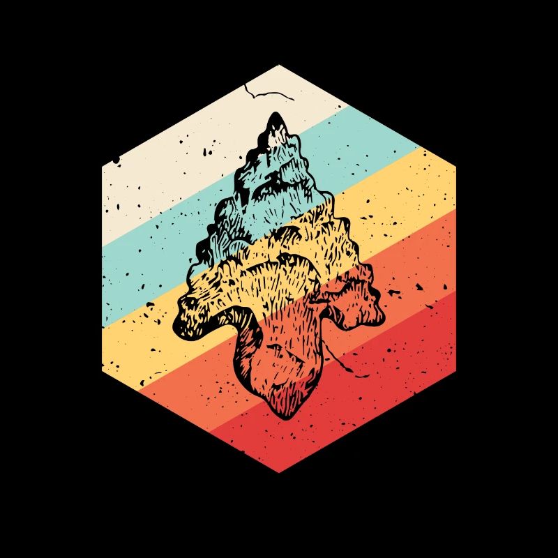 Arrowhead Hunting Artifacts Archery