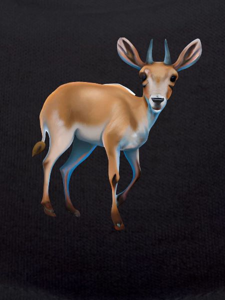 Saiga antelope