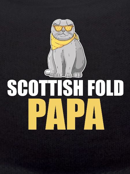 Scottish Fold Cat