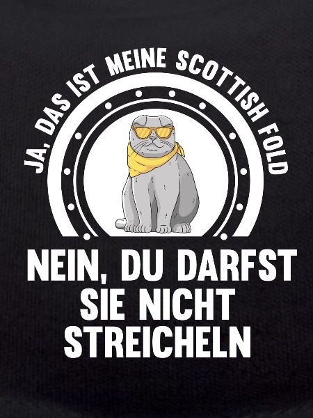 Scottish Fold Katze