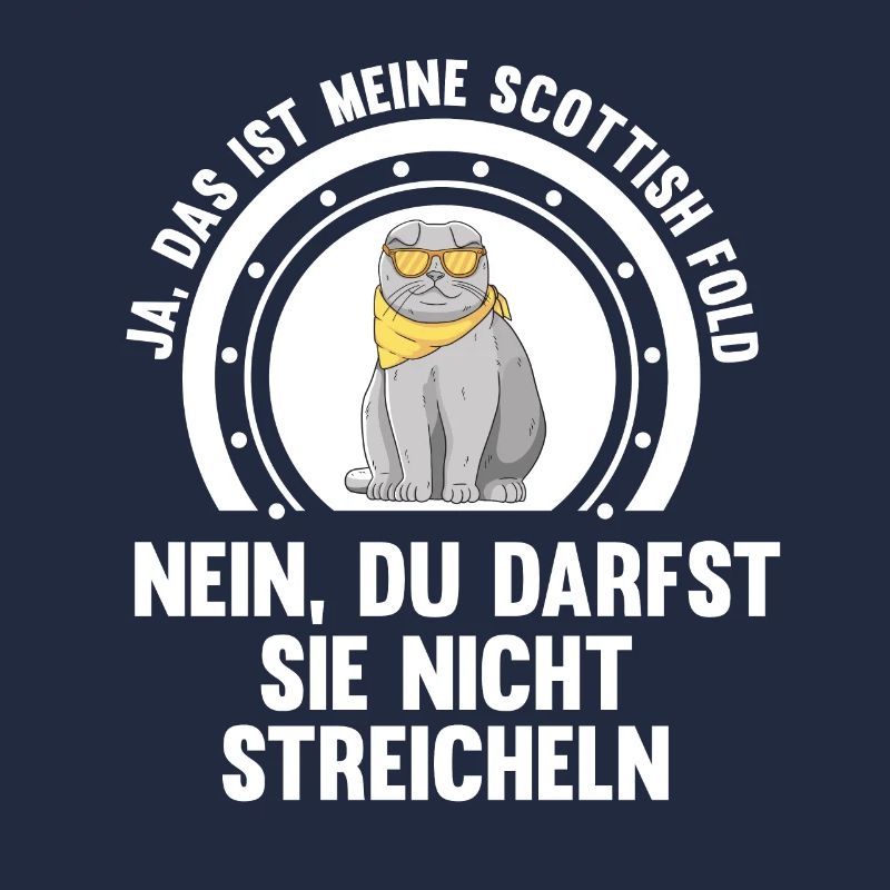 Scottish Fold Katze