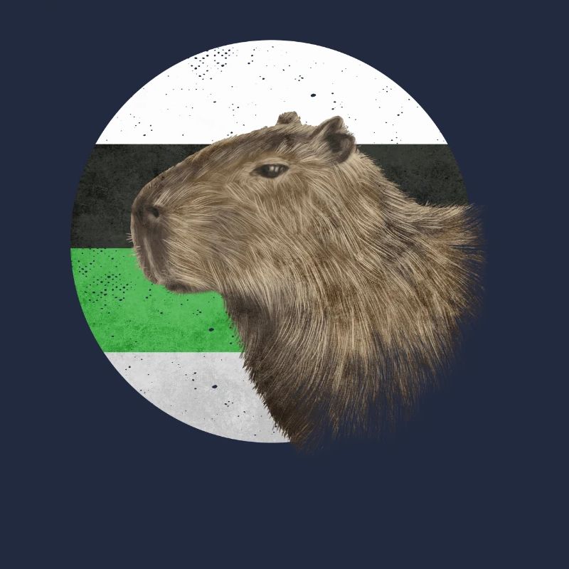 Demiromantic Pride Flag Capybara Sublte LGBTQ