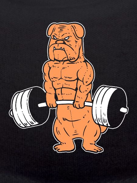 Dog weights fitness fanatics
