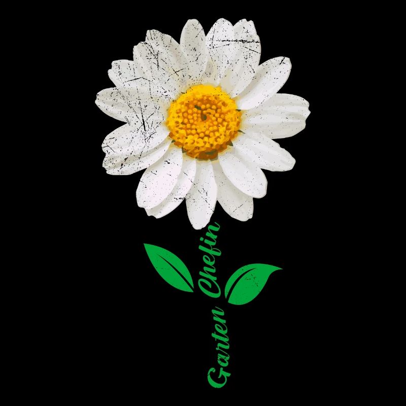 Gänseblümchen Gärtnerinnen Blumenliebe Gartenfan