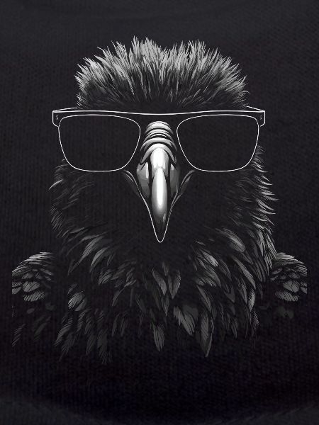 Crow Sunglasses Cool