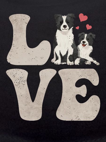 Border Collie Dog