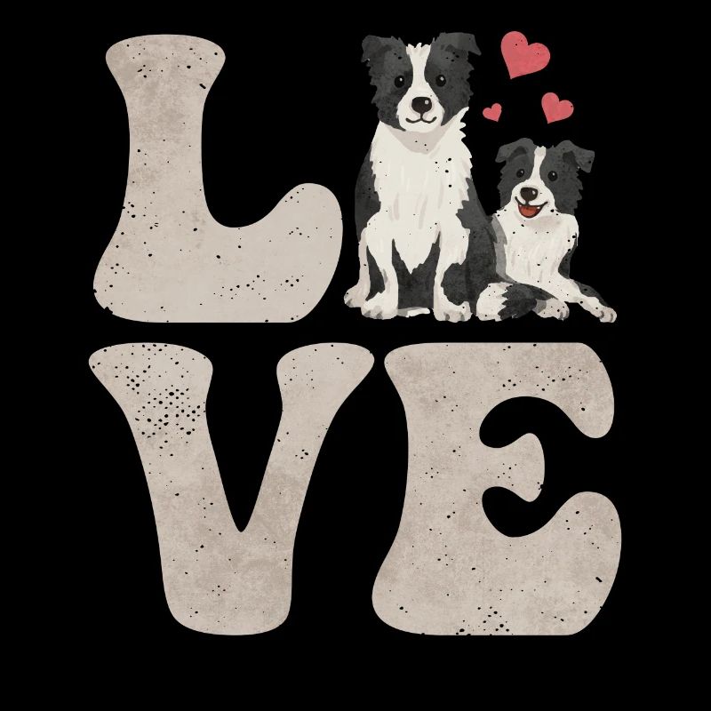 Border Collie Hund