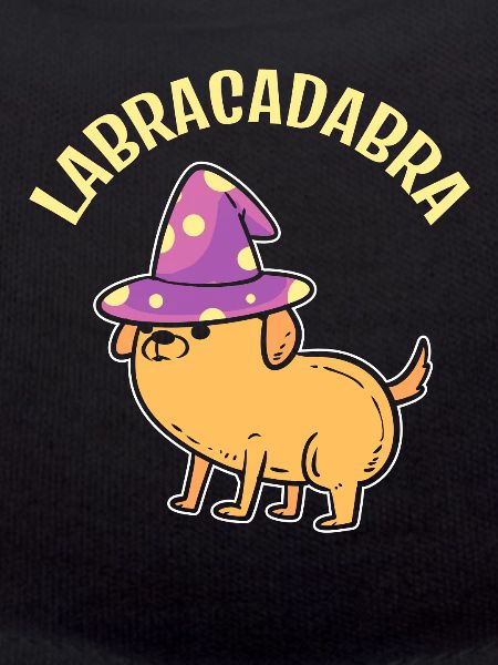 Labracadabra Zauberer