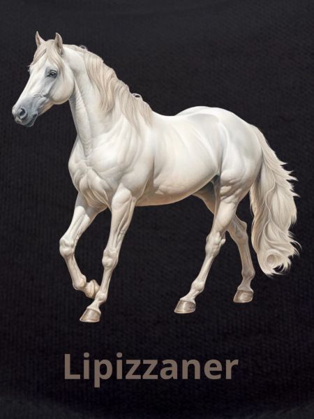 Lipizzaner