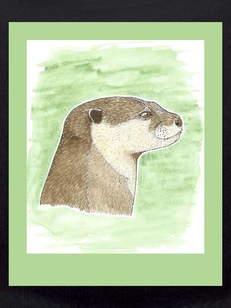 231003 Otter 3