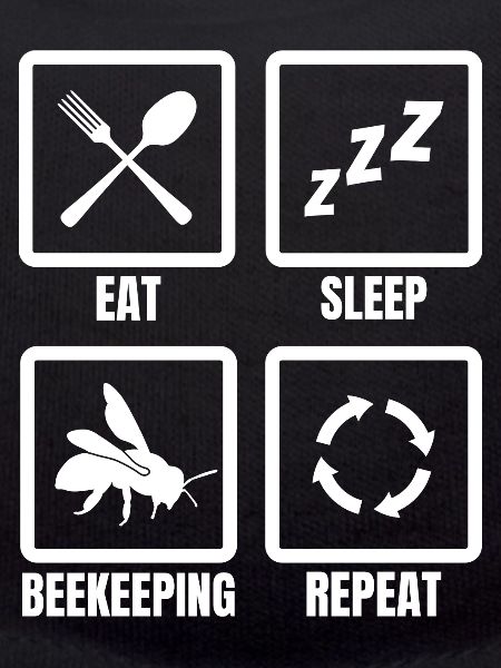 Manger Sommeil Apiculture Répéter