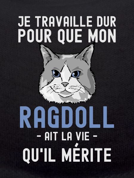 Chat mignon de race Ragdoll