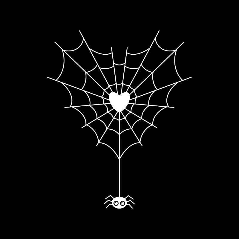Spinne im Spinnennetz