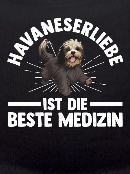 Hund Havaneser