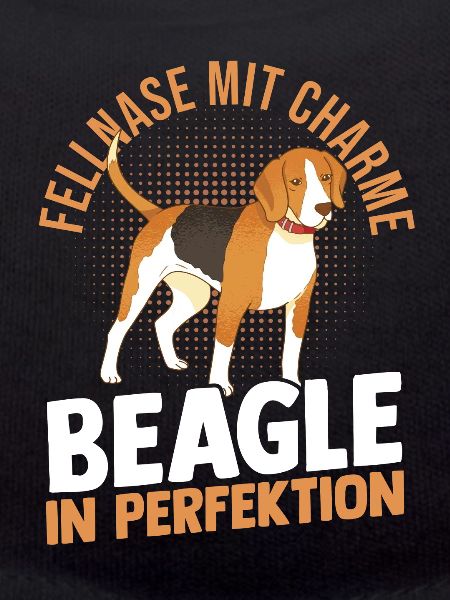 Hund Beagle