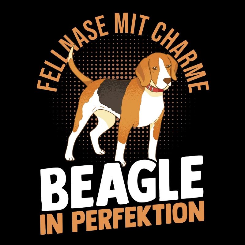 Hund Beagle