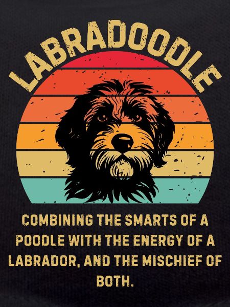 Labradoodle Retro Sunset