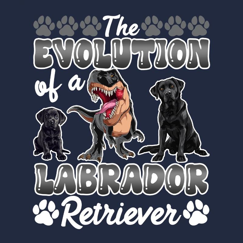 Hundebesitzer DIE EVOLUTION EINES LABRADOR