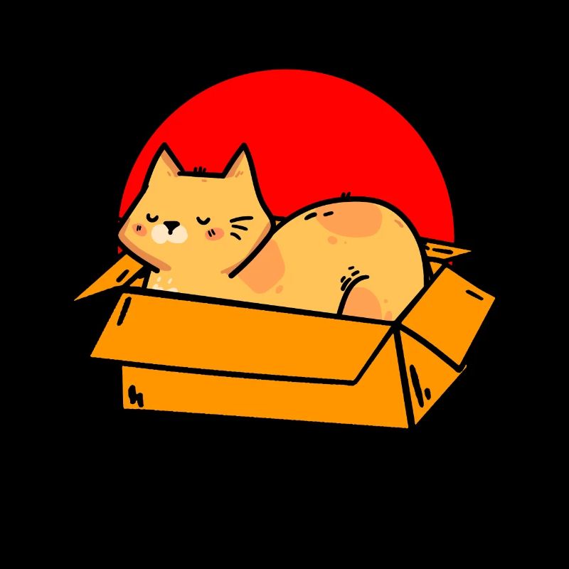 Cat In Box Retro Cute Cat Lover Funny