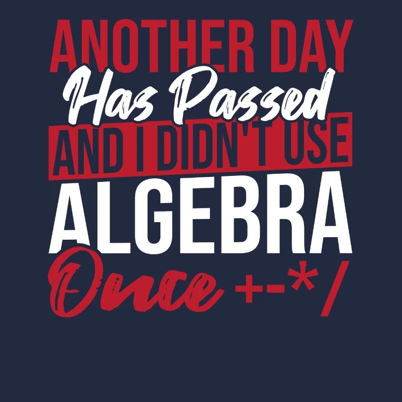Algebra Lover Graph Math Nerd I Didn't Use Algebra