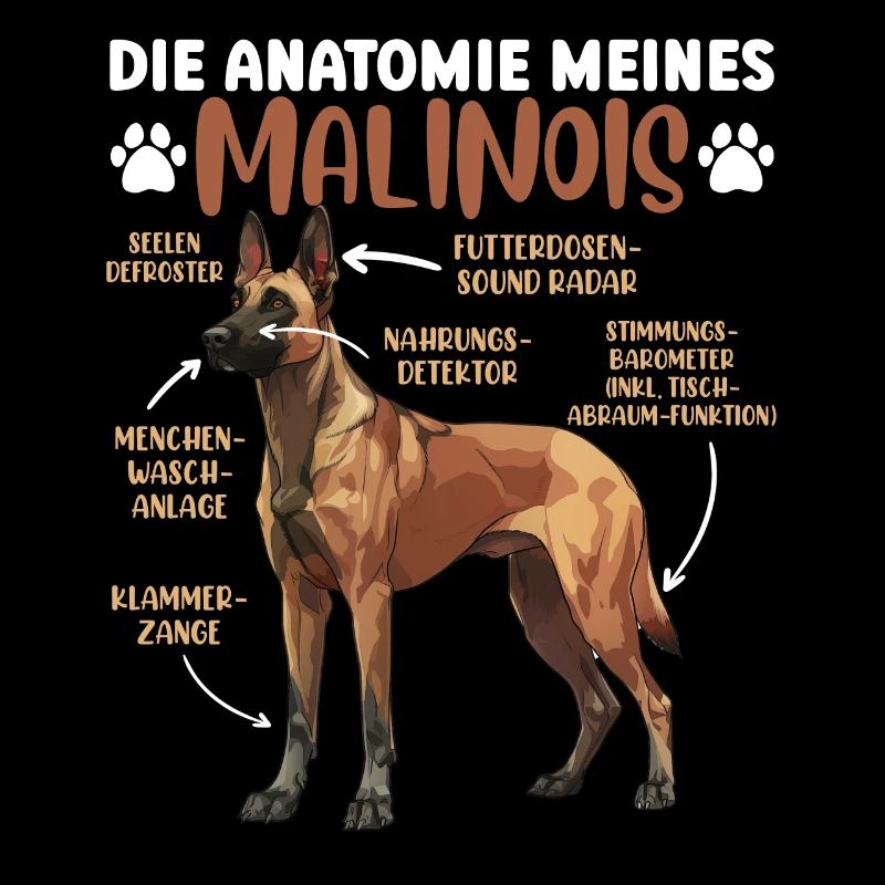 ANATOMIE MEINES MALINOIS Belgischer Schäferhund