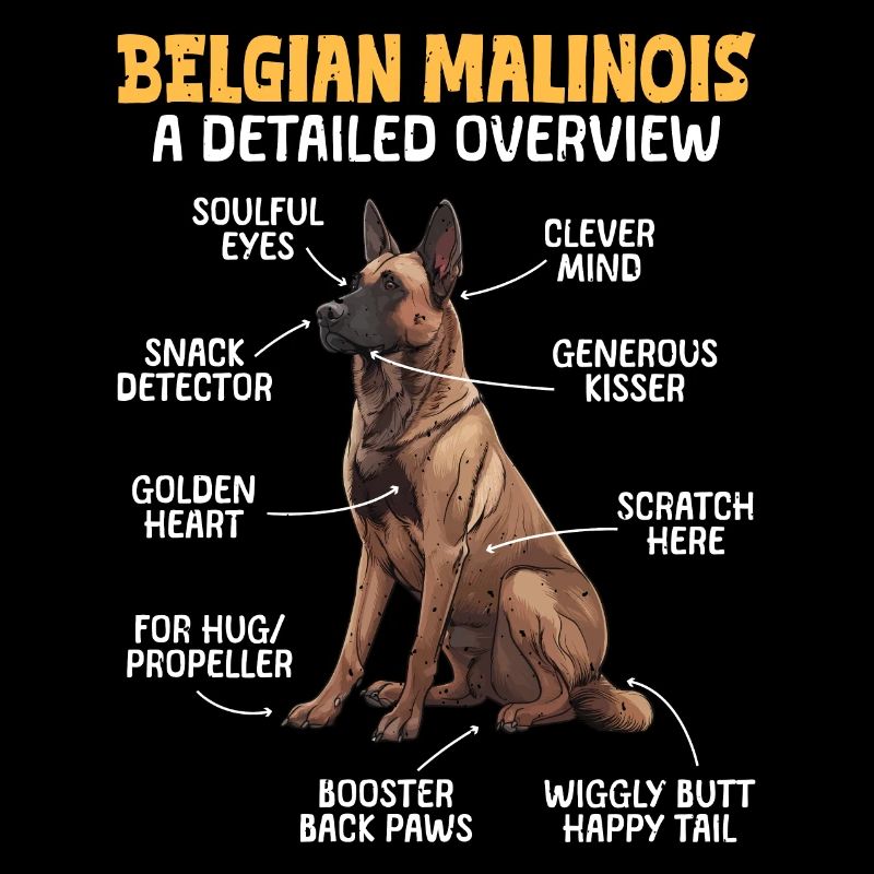 BELGIAN MALINOIS DETAILED OVERVIEW Lustiges