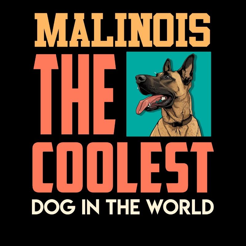 Malinois Der COOLSTE HUND DER WELT Belgischer