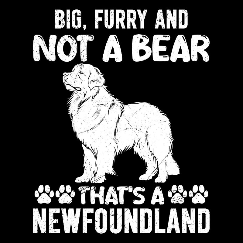 Newfie BIG FURRY AND NOT A BEAR THAT'S A