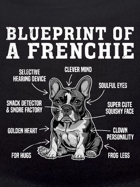 Bouledogue français Plan d’un Frenchie