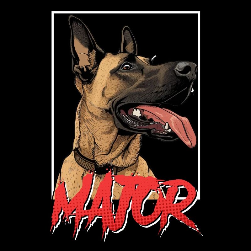 Belgischer Schäferhund MAJOR Malinois Hund