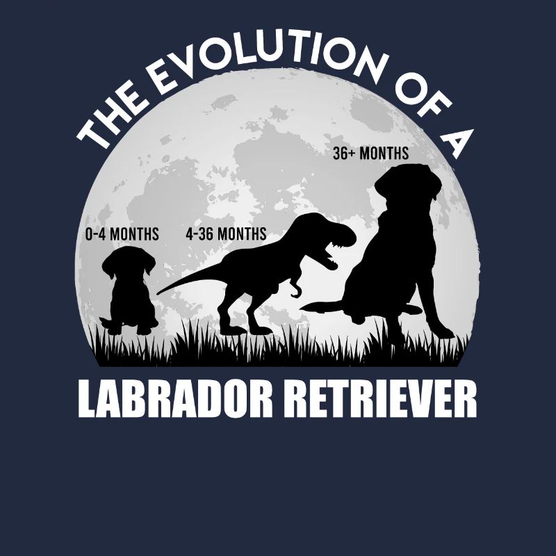 Fan du Labrador L'ÉVOLUTION D'UN Dino LABRADOR