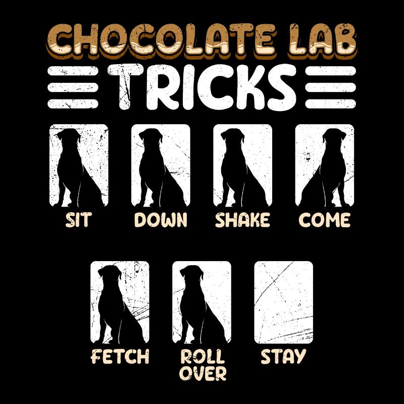 Labrador Drôle CHOCOLATE LAB TRICKS Têtu