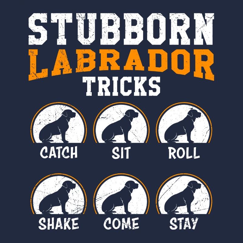 Propriétaire de Labrador ASTUCES DE LABRADOR TÊTU